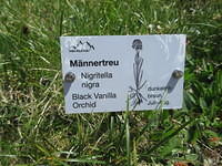 IMG 5800