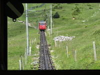 IMG 5852