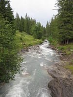 IMG 5941