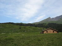 IMG 5962