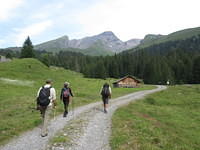 IMG 5964