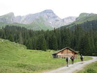IMG 5966