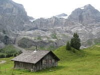 IMG 5968