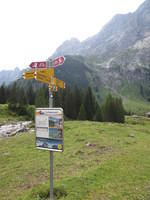 IMG 5969