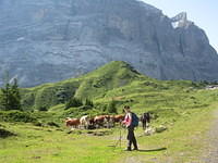 IMG 5971