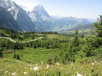 IMG 5979