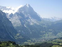 IMG 5981