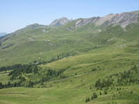IMG 5982