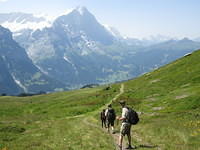 IMG 5993