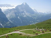 IMG 5998