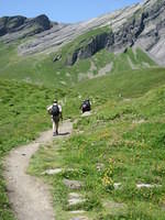 IMG 6025