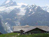 IMG 6040