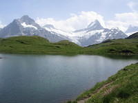 IMG 6050