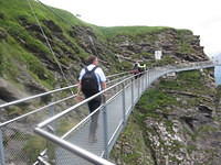 IMG 6061
