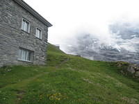 IMG 6126