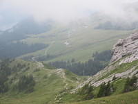 IMG 6152