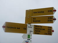 IMG 6154