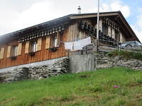 IMG 6175