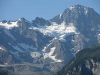 IMG 6245
