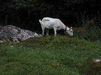 IMG 6249