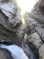 IMG 6273