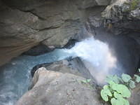 IMG 6274