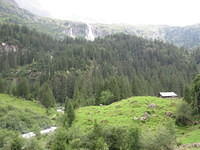 IMG 6325