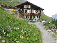 IMG 6378