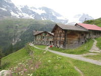 IMG 6380