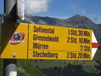 IMG 6446