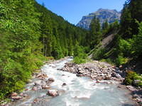 IMG 6457