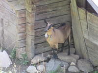IMG 6472