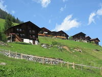 IMG 6482