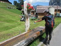IMG 6485