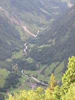 IMG 6542
