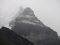 IMG 6558