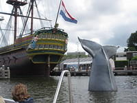 IMG 6729