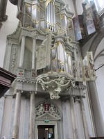 IMG 6787