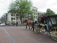 IMG 6788
