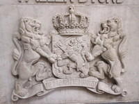 IMG 6800