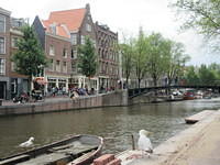 IMG 6813