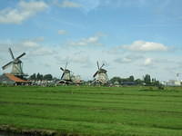 IMG 6847