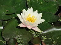 IMG 6865