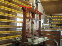 IMG 6873