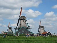 IMG 6875