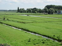 IMG 6881