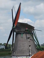 IMG 6888