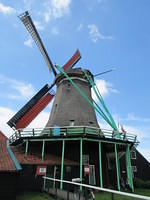 IMG 6894