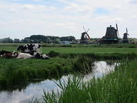 IMG 6897