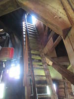IMG 6937